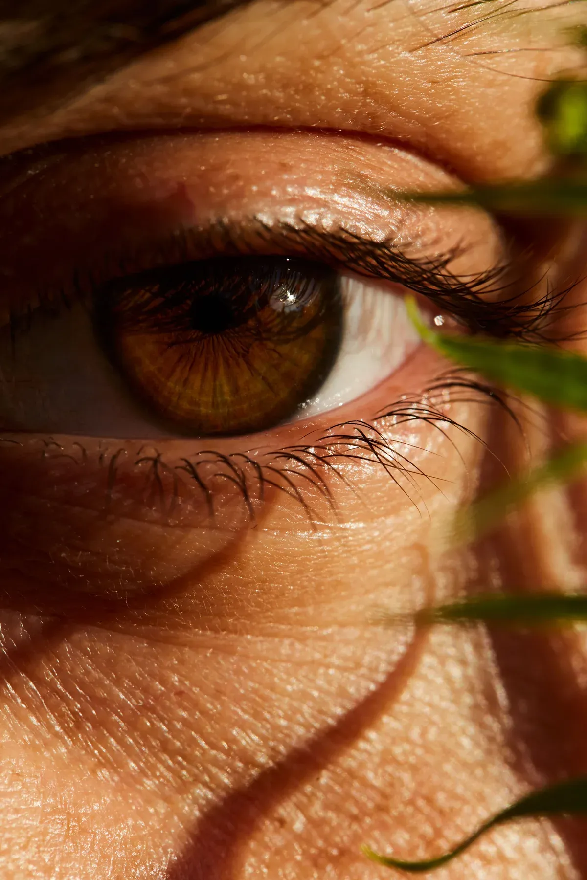 Makro Auge